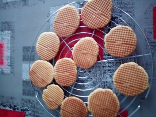 Gaufrettes (7)