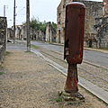 IMG_5081