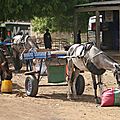 Sénégal (53)