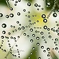 mini-perles1