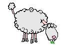 mouton011