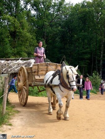 Charrette_et_cheval