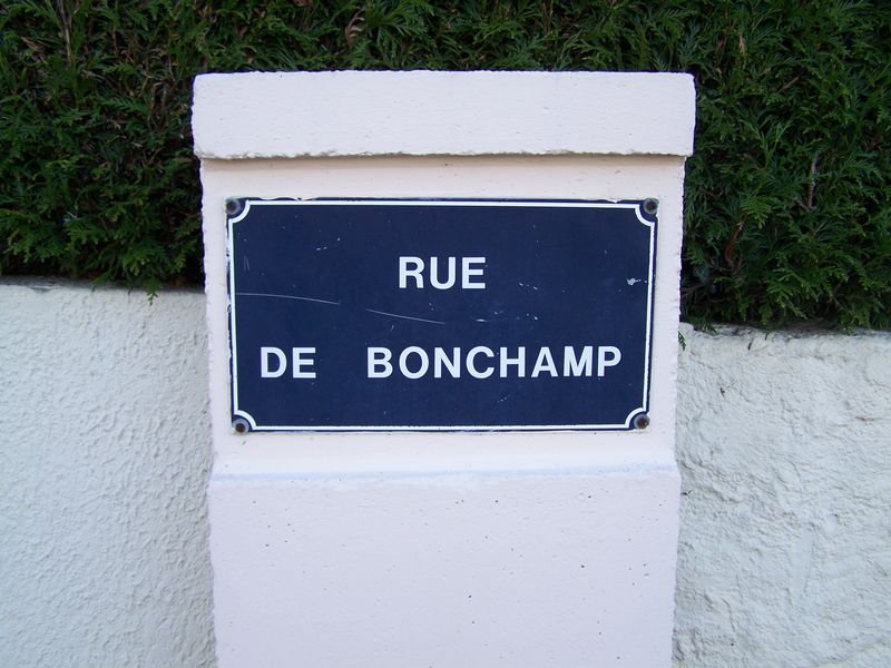 La Séguinière (49), rue de Bonchamp(s)