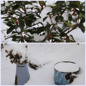 D'1 jour à l'autre (34)