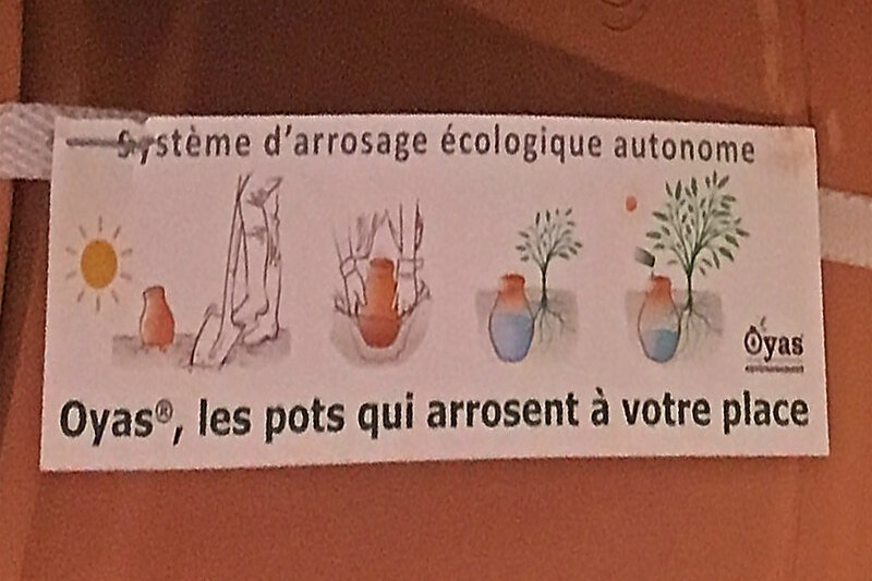 Clayola : l'invention d'un système d'irrigation en terre cuite économe en  eau qui arrose les plantes pendant 30 jours - NeozOne