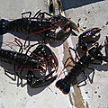 37669719_10216711785524998_2476033519269183488_n