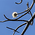 P1130362
