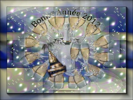 VOEUX 2011
