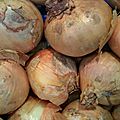 oignons