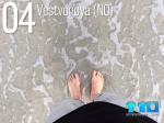 Pied 04