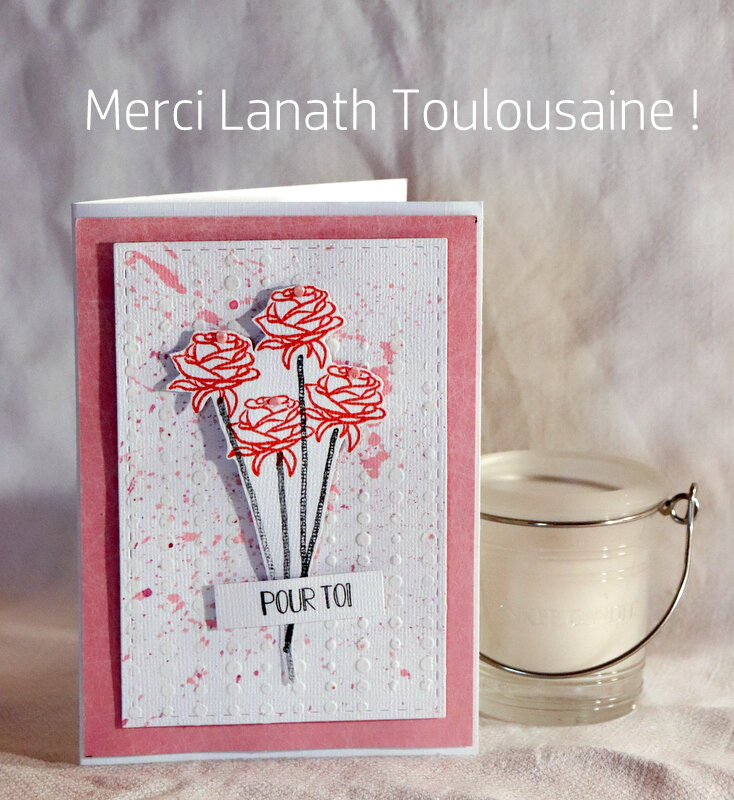 AVC + C&STS - LANATH TOULOUSAINE-001