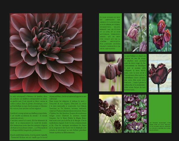 GardenColours1_Page_09