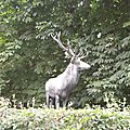 DSCN4857