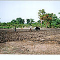 Image (2)