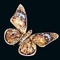 Butterfly brooch by artist-jeweler wallace chan. 