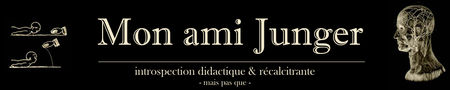jungi3