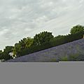 _DSC0567