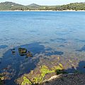 P1040596