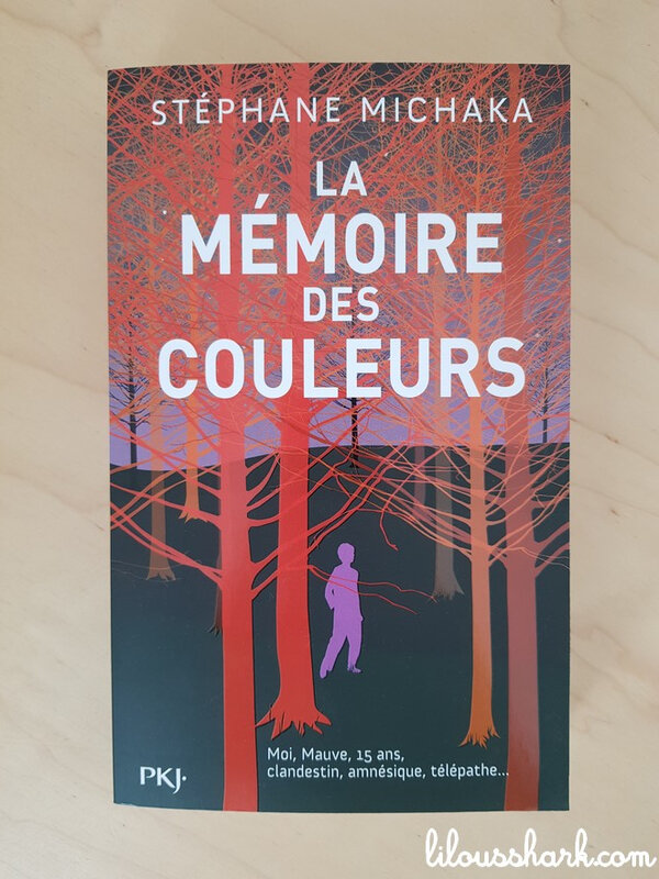 la memoire des couleurs 1
