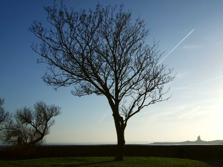St_Vaast4