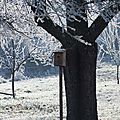 Petites maisons pour oiseaux.