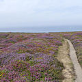 P1080817 (76)