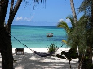 mariage zanzibar dolphin