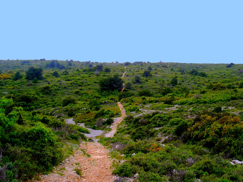 grui2011 (30)