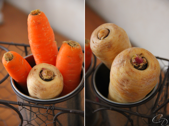 Samoussas Lentilles Panais Carottes Cathy S Delights
