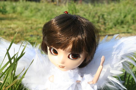 pullip_ala