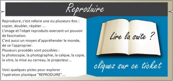 Ticket PTIT COURS REPRODUIRE B