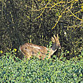 IMG_0006