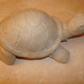 modelage d'une petite tortue