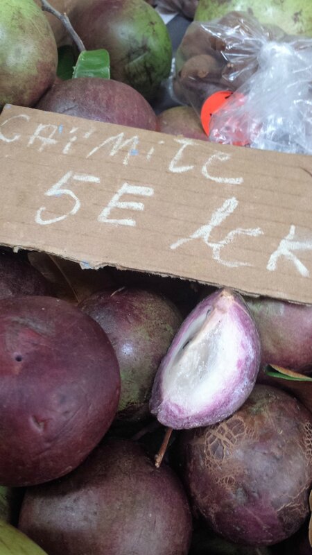 2016 03 09 (59) - le marché couvert de Fort-de-France