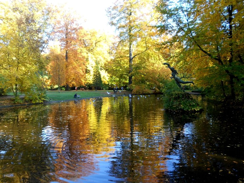 Encore quelques belles photos de Mariemont au beau soleil d'automne 2015 les visages de