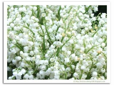 1er-mai-fete-muguet-fete-travail-L-1
