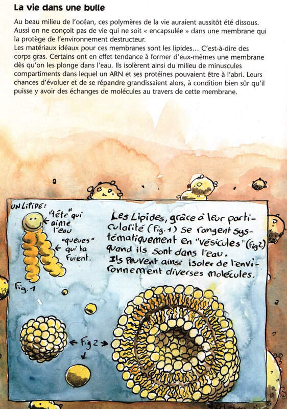 la vie dans une bulle