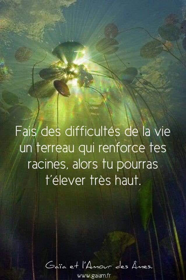 Citation Arbre Tous Les Messages Sur Citation Arbre Fleurdel Art