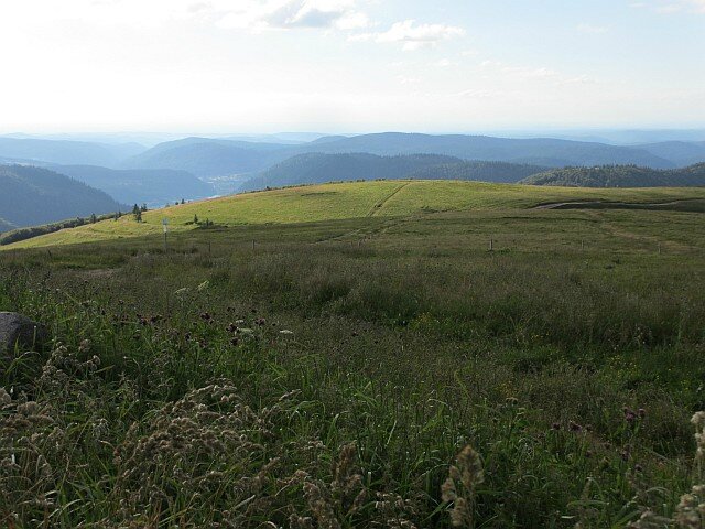 blog ger9