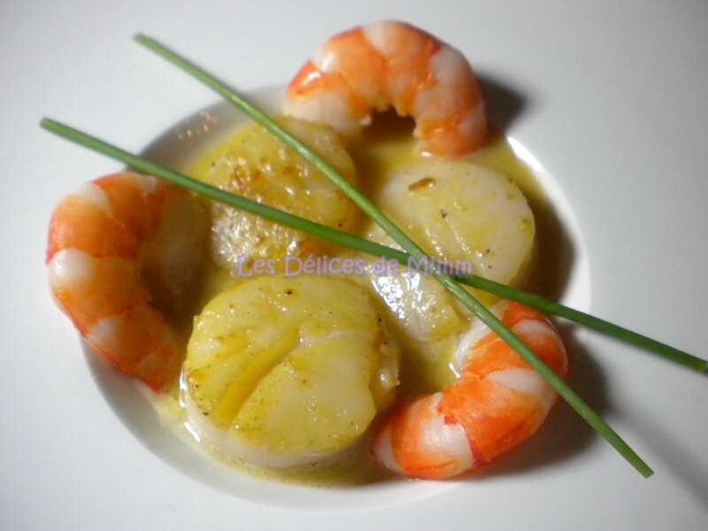 Noix de Saint-Jacques et scampis à la crème de Sauternes 5