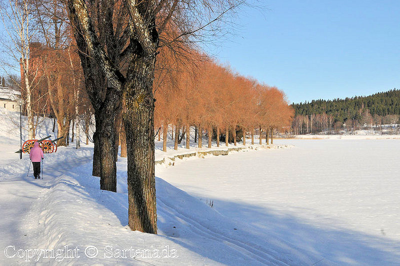 winter_walk_in_hameenlinna-4