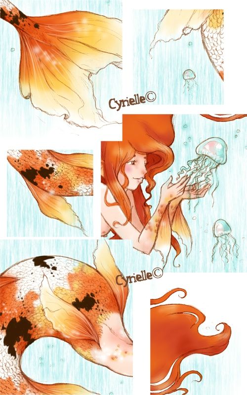 Planche090713n6