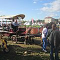 20 et 21 septembre 2017 - pole traction animale au salon tech et bio - bourg-les-valence (26)