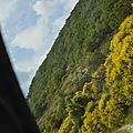 _DSC0490