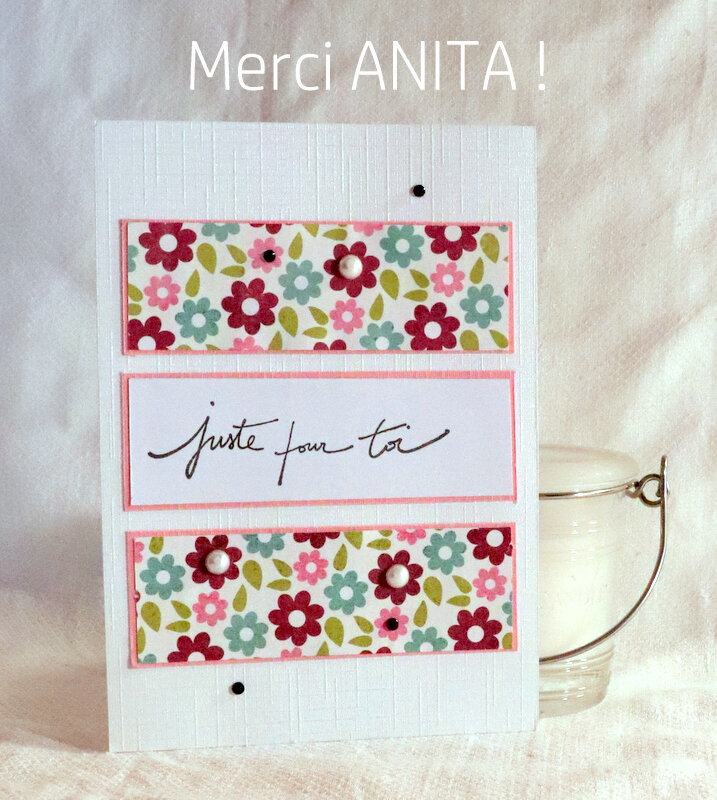 ANITA - AVC