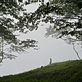 Hêtres dans le brouillard au Serròt de Boish.