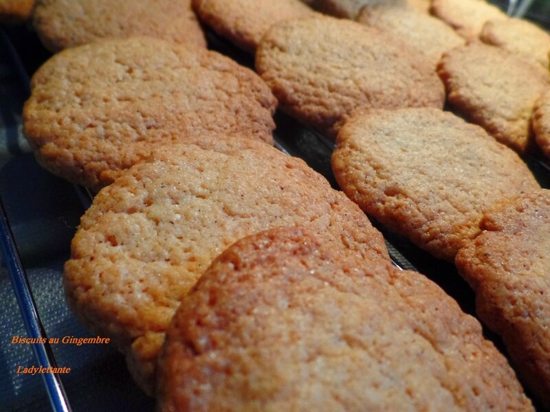 Biscuits au Gingembre - Ladylettante