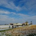 _IGP7897