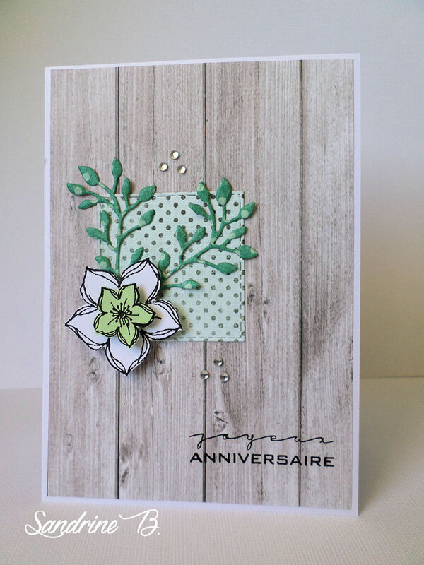 SANDRINE B dt