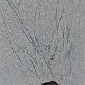 P1180364